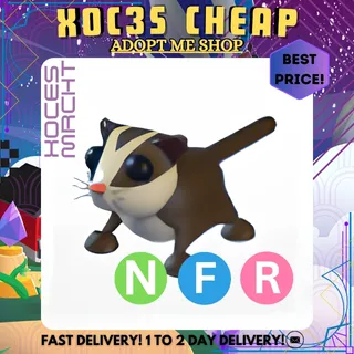 NFR Sugar Glider