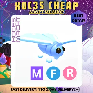 MFR Glacier Moth