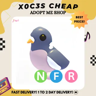 NFR WOOD PIGEON