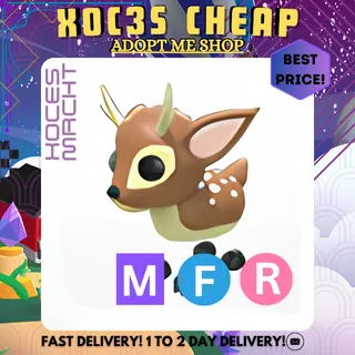 MFR Fallow Deer 
