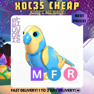MFR Diamond Amazon