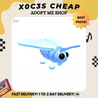 4X GLACIER MOTH