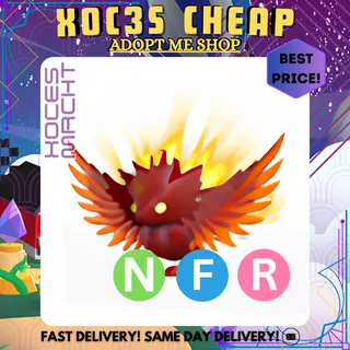 NFR Solaris Dragon