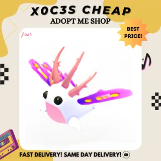 SEA SLUG