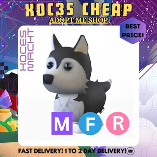 MFR Husky
