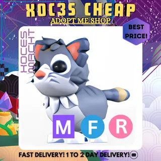 MFR Alley Cat
