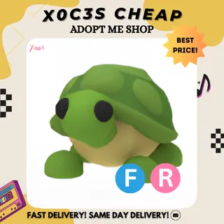 FR TURTLE