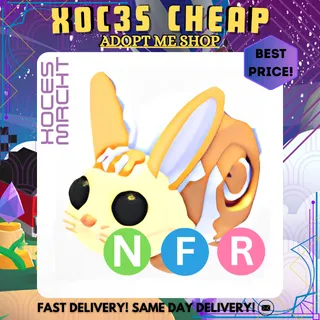 NFR Bunny Swirl