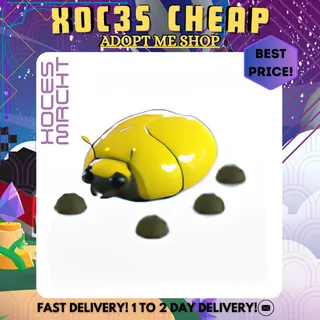 Giant Golden Scarab