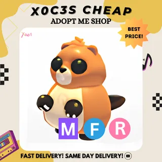 MFR RANGER BEAVER