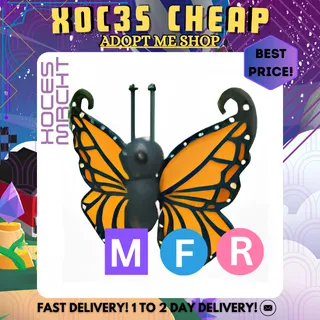 MFR Orange Butterfly