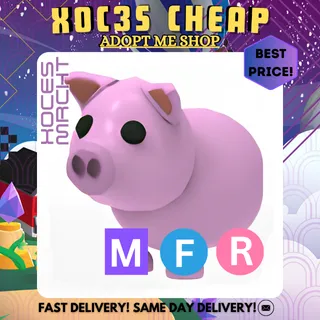 MFR Pig