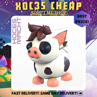 Mini Pig