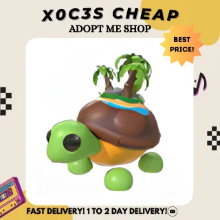 4X TORTUGA DE LA ISLA