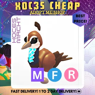 MFR Peahen