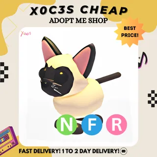 NFR SIAMESE CAT