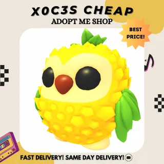 PINEAPPLE OWL