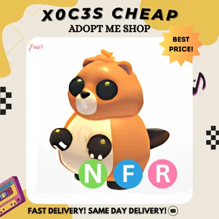 NFR RANGER BEAVER