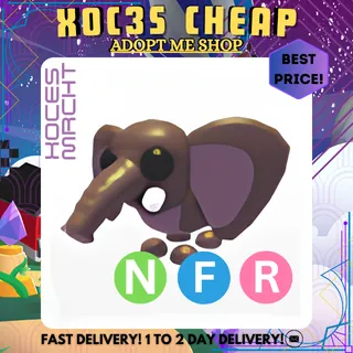 NFR Bush Elephant 