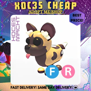 FR AFRICAN WILD DOG