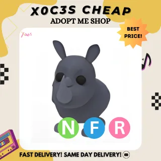 NFR RHINO