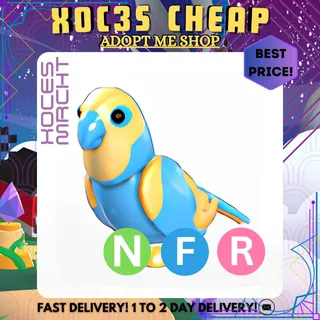 NFR Diamond Amazon