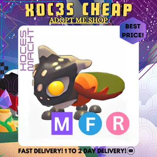 MFR Tri-horned Treehopper