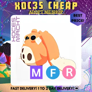 MFR Cabbit