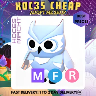 MFR Snow Owl
