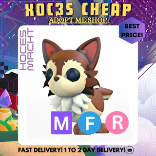 MFR Chihuahua 