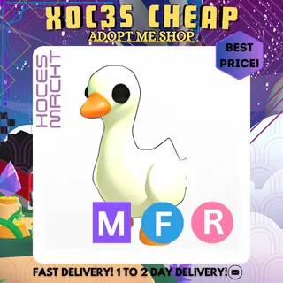 MFR Goose
