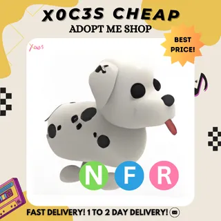 NFR DALMATIAN