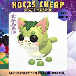 16x Matcha Cat