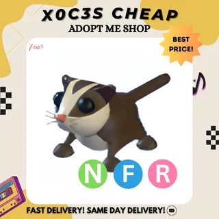 NFR SUGAR GLIDER