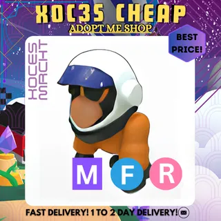 MFR Astronaut Gorilla