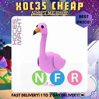 NFR Flamingo