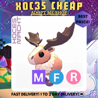 MFR Papa Moose