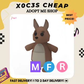 MFR KANGAROO