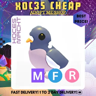 MFR Wood Pigeon