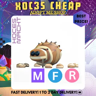 MFR Mummy Spider