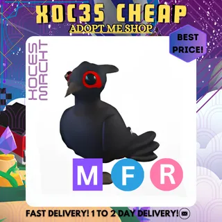 MFR Black Chested Pheasant