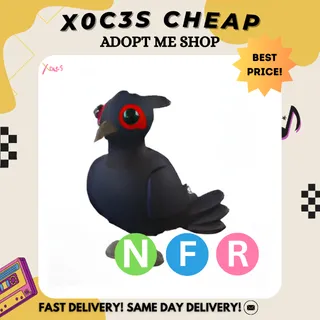 NFR BLACK CHESTED PHEASANT