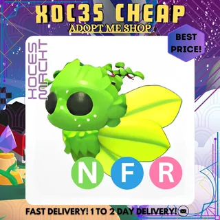 NFR Gaelic Fae