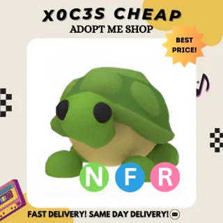 NFR TURTLE