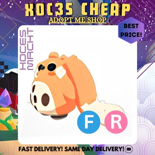 FR Cabbit