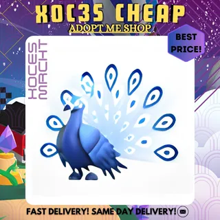 Moonbeam Peacock