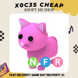 NFR PINK CAT