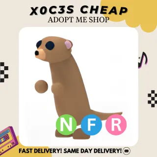 NFR MEERKAT