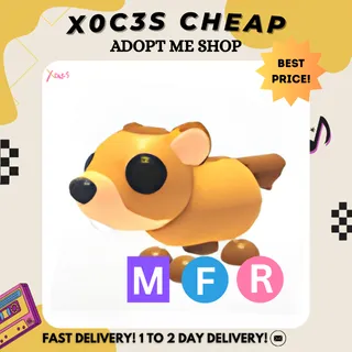 MFR GROUNDHOG