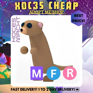 MFR Meerkat